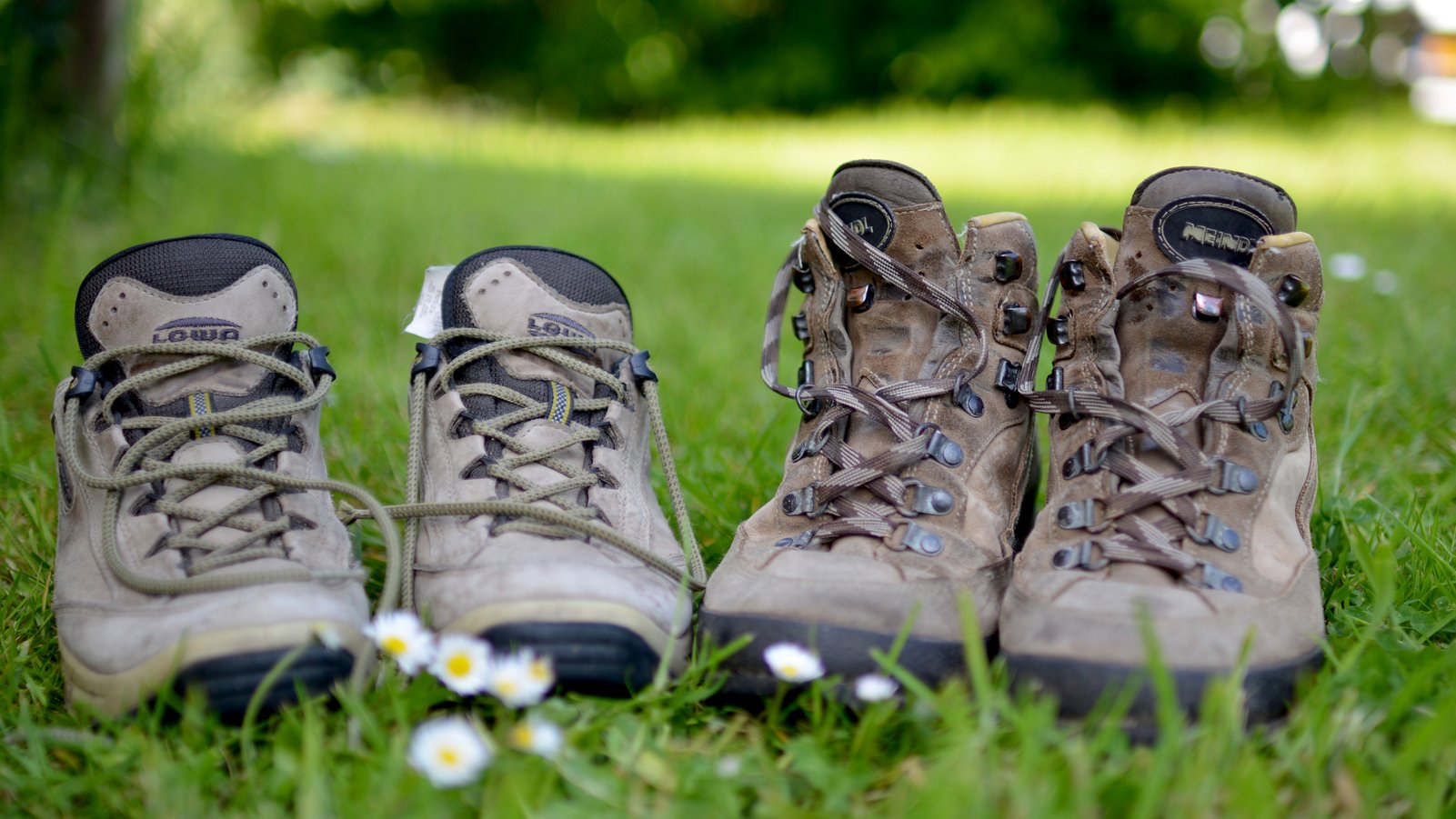 Zwei Paar Wanderschuhe im Grünen